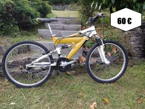 Raider Yellow Bike